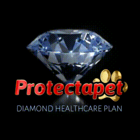 Diamond healthcare plans provided by Protectapet for all your pet healthcare needs.