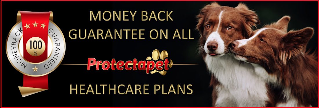 Protectapet offers a money back guarantee on all pet healthcare plans