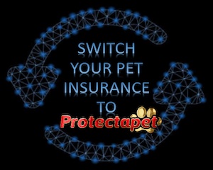 Switch your Pet insurance to Protectapet and save money now