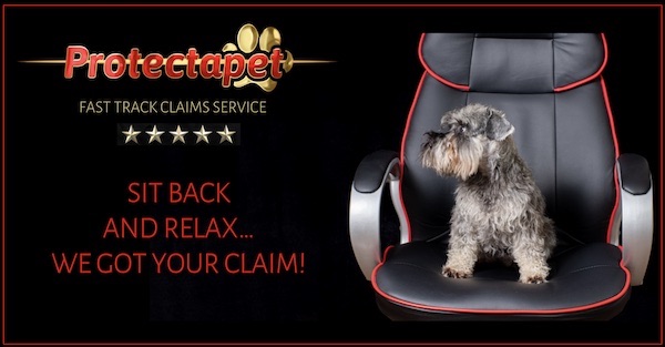 Protectapet fast track claims service